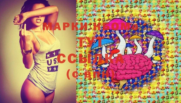 прущие грибы Арсеньев