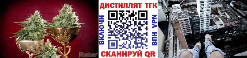 ОМГ ОМГ ТОР Кологрив Дистиллят ТГК жижа
